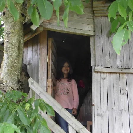 Au Parfum Des Lavandes 3*