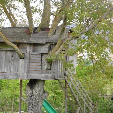 Au Parfum Des Lavandes